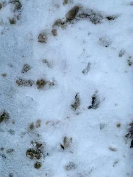 Grunge texture Stock Photos