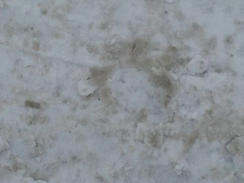 Grunge texture Stock Photos