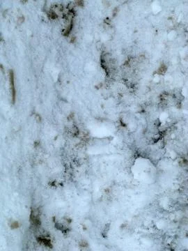 Grunge texture Stock Photos