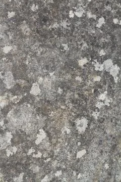 Grunge texture Stock Photos