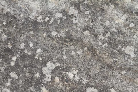 Grunge texture Stock Photos