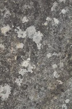 Grunge texture Stock Photos