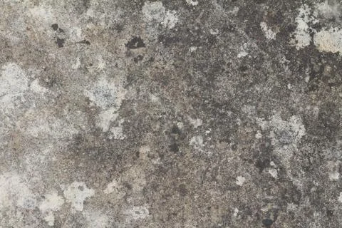 Grunge texture Stock Photos