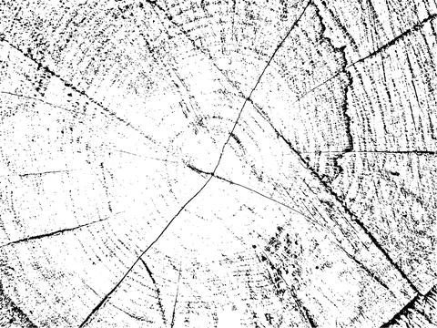 Grunge texture of poplar cross-section with cracks Illustrazione stock