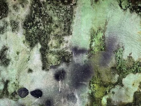 Grunge texture of a rough old wall with green moss Foto stock