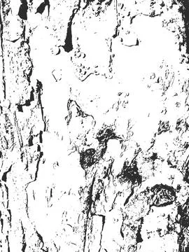 Grunge Texture Rough Tree Bark with Deep Crevices Forms a Natural Pattern Stock Illustration