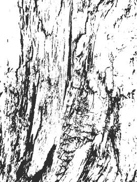 Grunge Texture with Tree Bark Surface Cracks 스톡 일러스트