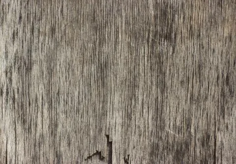 Grunge texture veneer Stock Photos