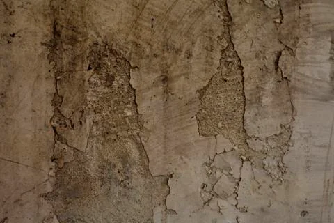 Grunge Texture  wall with cracks Stock Photos