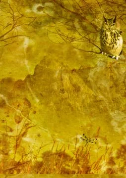 Grunge textured background collage Stock Photos