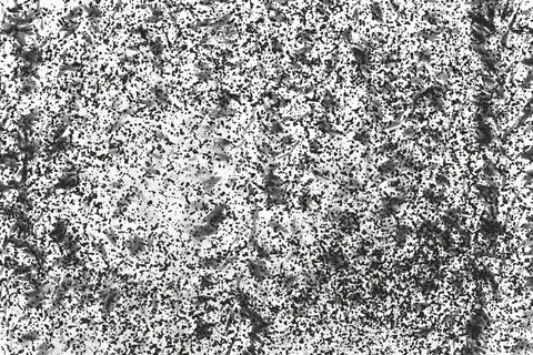 Grunge texture.Grunge texture background.Grainy abstract texture on a white Stock Illustration