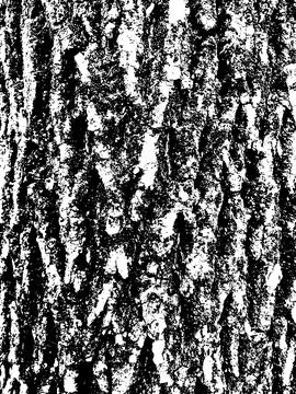 Grunge tree bark texture. Distressed overlay texture. Stock Illustration