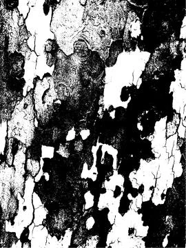 Grunge tree bark texture. Distressed overlay texture. Stock Illustration