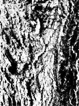 Grunge tree bark texture. Distressed overlay texture. Stock Illustration