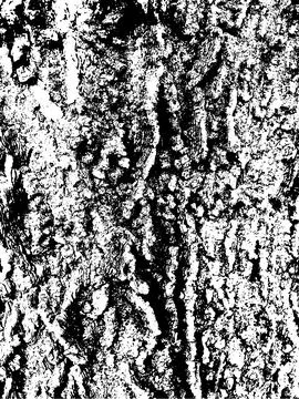 Grunge tree bark texture. Distressed overlay texture. Stock Illustration