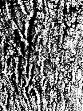 Grunge tree bark texture. Distressed overlay texture. Stock Illustration