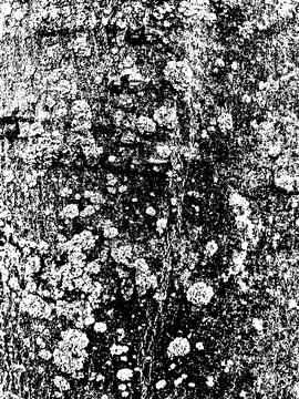 Grunge tree bark texture. Distressed overlay texture. Stock Illustration