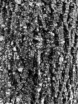 Grunge tree bark texture. Distressed overlay texture. Stock Illustration