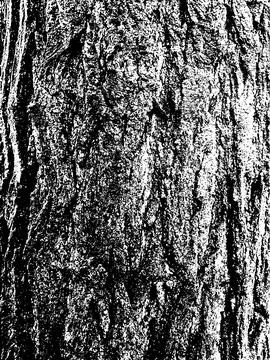 Grunge tree bark texture. Distressed overlay texture. Stock Illustration