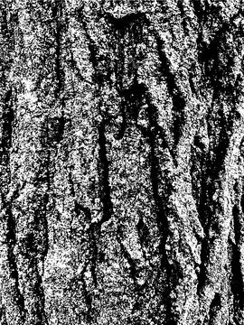 Grunge tree bark texture. Distressed overlay texture. Black and white vector Stock-Illustration