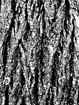 Grunge tree bark texture. Distressed overlay texture. Black and white vector Stock Illustration