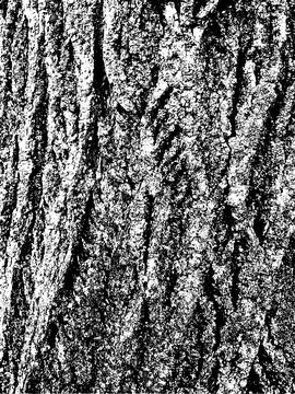 Grunge tree bark texture. Distressed overlay texture. Black and white vector Stock Illustration