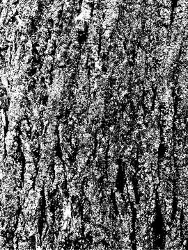 Grunge tree bark texture. Distressed overlay texture. Black and white vector Stock Illustration