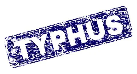 Grunge TYPHUS Framed Rounded Rectangle Stamp 스톡 일러스트