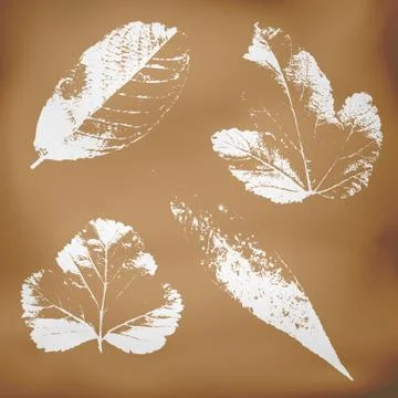 Grunge vector leaves Illustrazione stock