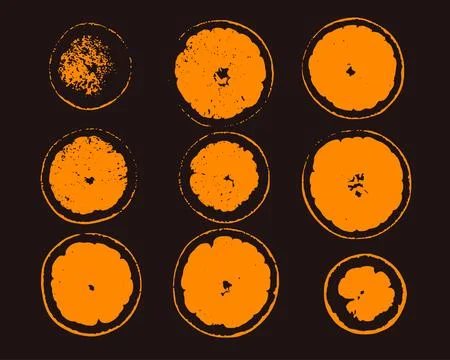 Grunge Vector Print of Orange Fruit Slices. Minimal Citrus Illustration in Bold Stock Illustration