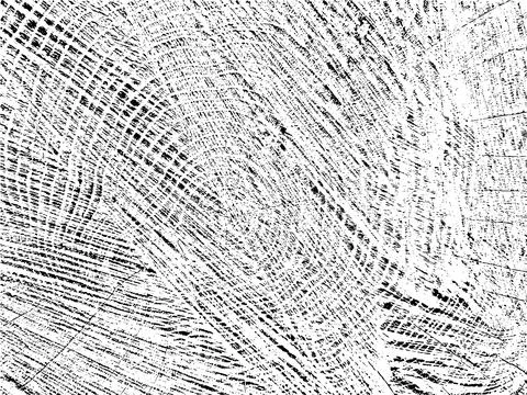 Grunge vector texture of an old sawn tree with cracks Stock Illustration