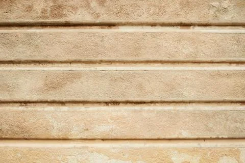 Grunge wall background with foliage Stock-Fotos