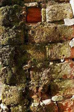 Grunge wall background Stock Photos