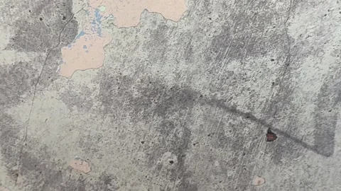 Grunge Wall Loop Stock Footage 342925587