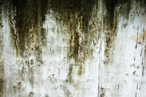 Grunge wall Stock Photos