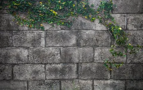 Grunge wall Stock Photos