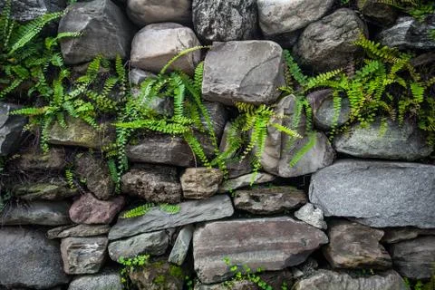 Grunge wall Stock Photos