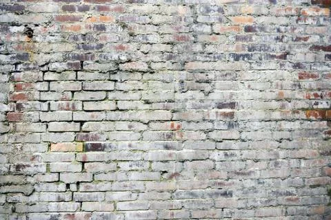 Grunge wall Stock Photos