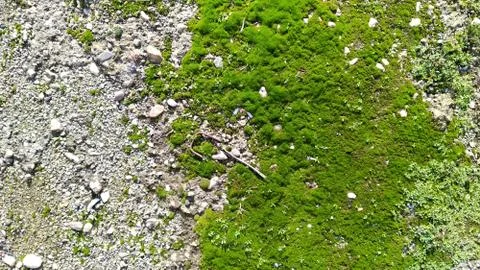 Grunge Wall Texture Background Pattern 写真素材