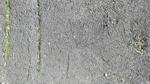 Grunge Wall Texture Background Pattern Foto stock