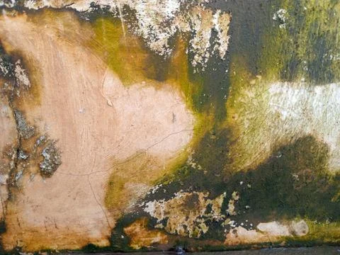 Grunge Wall Texture With Peeling Paint and Moss Stains Stock Photos