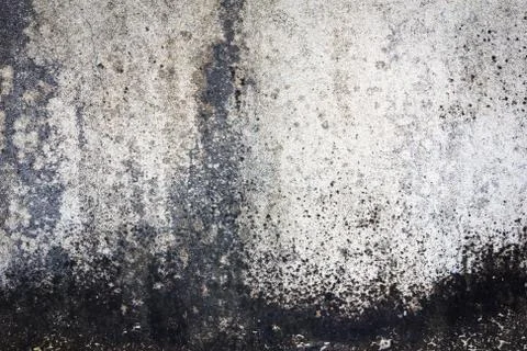Grunge wall texture Stock Photos