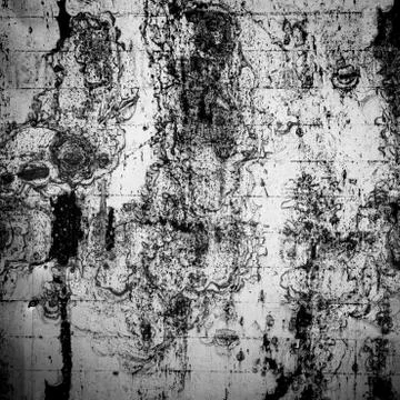 Grunge wall texture 스톡 사진