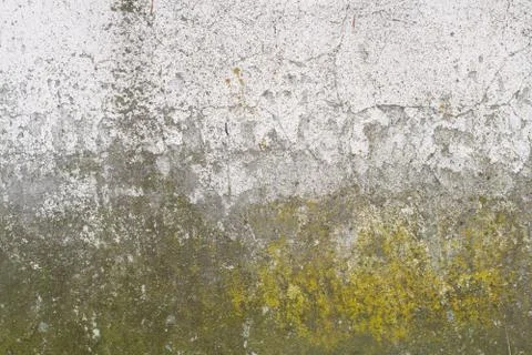 Grunge wall texture Foto stock