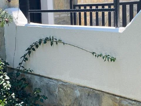 Grunge wall texture Stock Photos