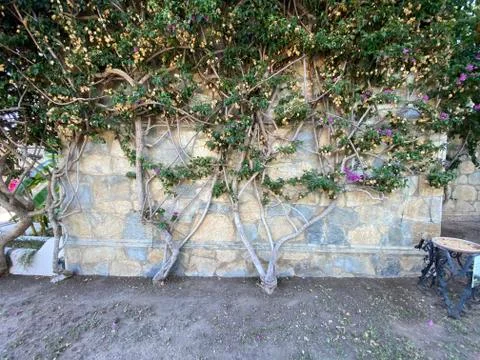 Grunge wall texture Stockfoto's