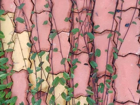 Grunge wall texture Stock Photos