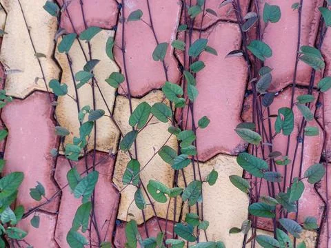 Grunge wall texture Stock Photos