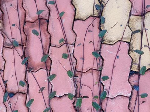 Grunge wall texture Stock Photos