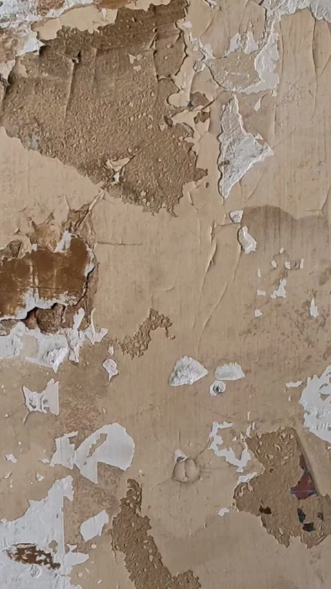 Grunge wall textures background and vintage. Stock Footage 312912710